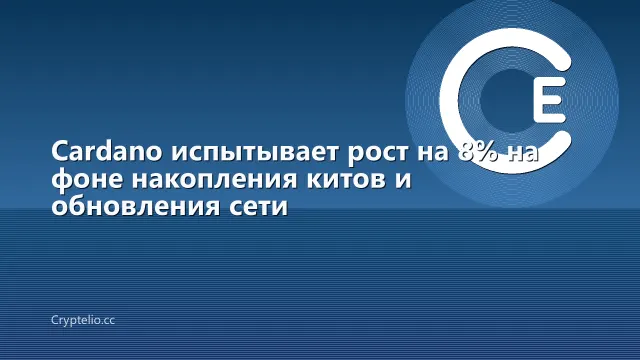 Cardano испытывает рост на 8% на фоне накопления китов и обновления сети