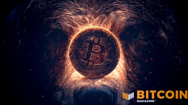 Fidelity Advierte que el Mercado Bajista de Bitcoin Puede Persistir a Pesar del Reciente Repunte de Precios