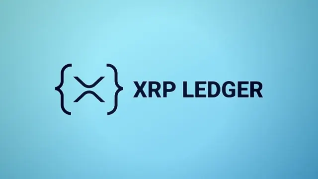 Ripple geht Partnerschaft mit der University of Florida für mehrjährige XRP-Branding-Vereinbarung ein