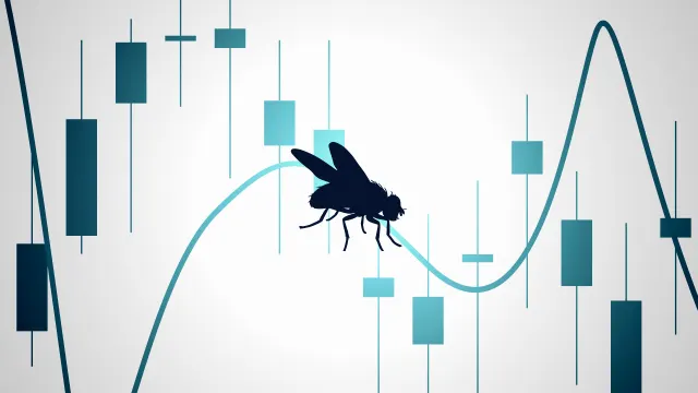 Ingeniero de Coinbase Conecta Cerebro Virtual de Mosca a Comercio de Criptomonedas