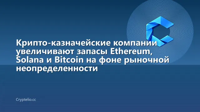 Крипто-казначейские компании увеличивают запасы Ethereum, Solana и Bitcoin на фоне рыночной неопределенности